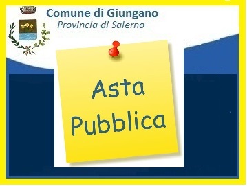 AVVISO ASTA PUBBLICA N. 3