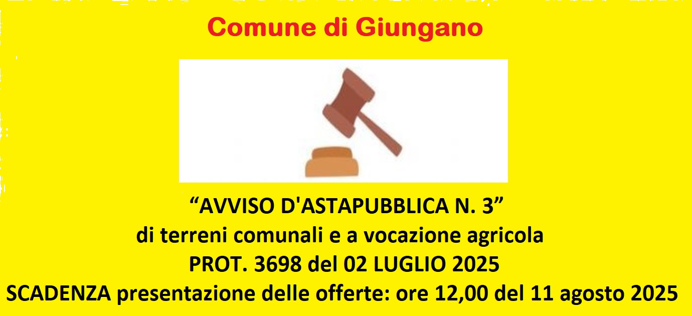 Avviso di asta pubblica